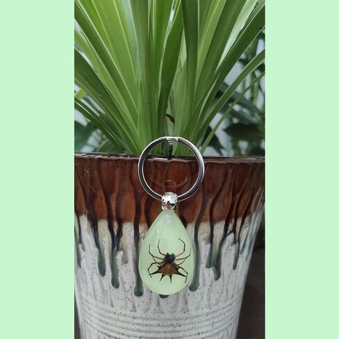 Keychain Black Scorpion Resin Key Ring Glow in the Dark Pendents with Insect Sample Inside for Bag Decoration in Saudi Arabia