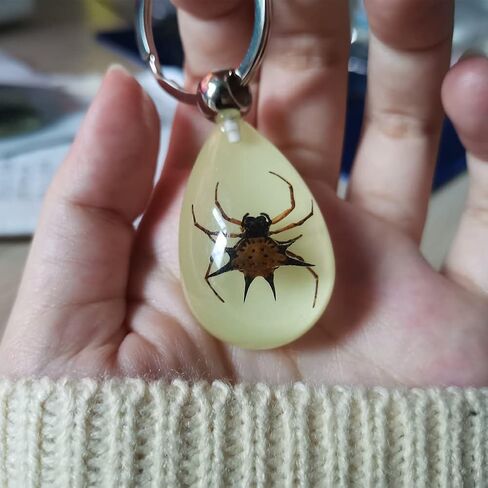Keychain Black Scorpion Resin Key Ring Glow in the Dark Pendents with Insect Sample Inside for Bag Decoration in Saudi Arabia