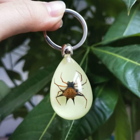 Keychain Black Scorpion Resin Key Ring Glow in the Dark Pendents with Insect Sample Inside for Bag Decoration in Saudi Arabia