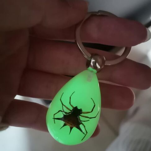 Keychain Black Scorpion Resin Key Ring Glow in the Dark Pendents with Insect Sample Inside for Bag Decoration in Saudi Arabia