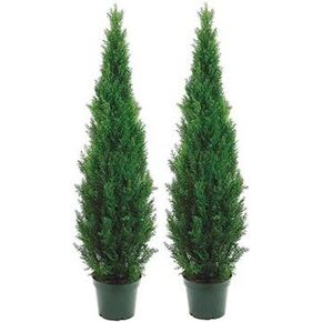 Two 5 Foot Outdoor Artificial Cedar Topiary Trees Potted Plants Two Peace Construction