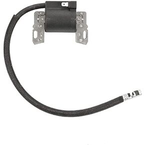 PARTSRUN COIL Ignition Module for Briggs&Stratton 591459 495859 491312 490586 492341 690248 715231 795315 799650 New,ZF-IG-A00055
