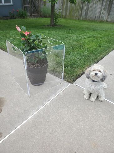 Pet Barrier (3-Panel) | Free-Standing Pet Gate | Foldable | Protect Your Indoor Living Spaces, Decorations, and Important Items from Pets | Made in The USA in Saudi Arabia