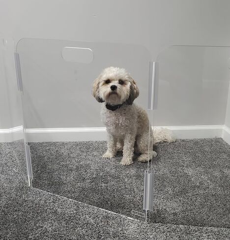 Pet Barrier (3-Panel) | Free-Standing Pet Gate | Foldable | Protect Your Indoor Living Spaces, Decorations, and Important Items from Pets | Made in The USA in Saudi Arabia