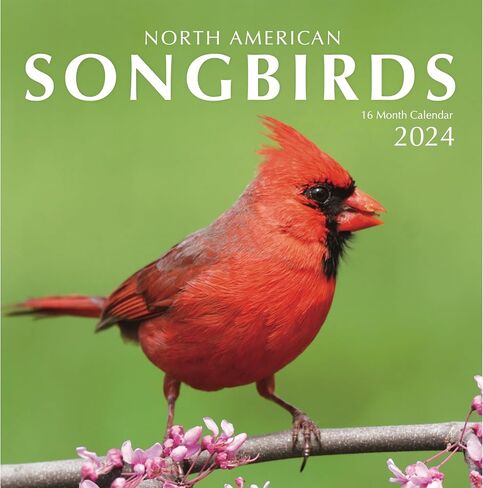 Songbirds 2023 Hangable Wall Calendar Monthly,12"x24" Open,North America Beautiful Wildlife Majestic Bird Photo Gift,Forest Birds Nature Photography,Secret Santa Office Gifting for Him Her- in Saudi Arabia