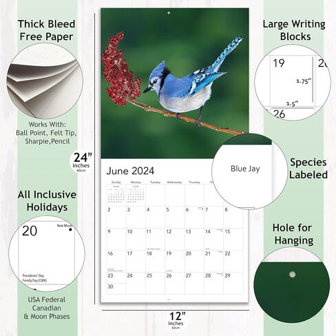 Songbirds 2023 Hangable Wall Calendar Monthly,12"x24" Open,North America Beautiful Wildlife Majestic Bird Photo Gift,Forest Birds Nature Photography,Secret Santa Office Gifting for Him Her- in Saudi Arabia