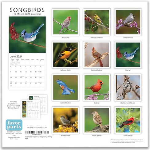 Songbirds 2023 Hangable Wall Calendar Monthly,12"x24" Open,North America Beautiful Wildlife Majestic Bird Photo Gift,Forest Birds Nature Photography,Secret Santa Office Gifting for Him Her- in Saudi Arabia