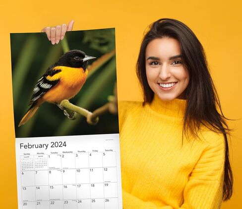 Songbirds 2023 Hangable Wall Calendar Monthly,12"x24" Open,North America Beautiful Wildlife Majestic Bird Photo Gift,Forest Birds Nature Photography,Secret Santa Office Gifting for Him Her- in Saudi Arabia