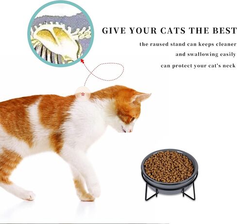 GDCZ Ceramics Raised Cat Small Dog Bowls with Heighten Metal Stand for Pet Food, 15 Ounces (Black) in Saudi Arabia