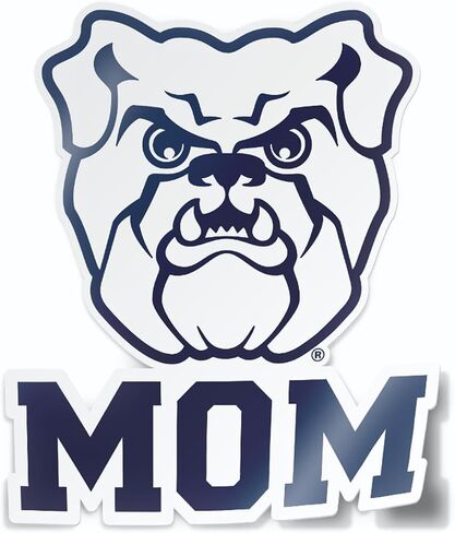 ملصق سيارة Baylor Mama Bear عالي التحمل مقاوم للماء للنوافذ أو زجاجات المياه أو أجهزة الكمبيوتر المحمولة (أم جامعة بايلور) in Saudi Arabia