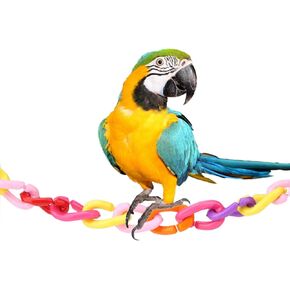 DIY Chain Links, Plastic C-Clips Hooks Bird Chain Links, for Small Pet