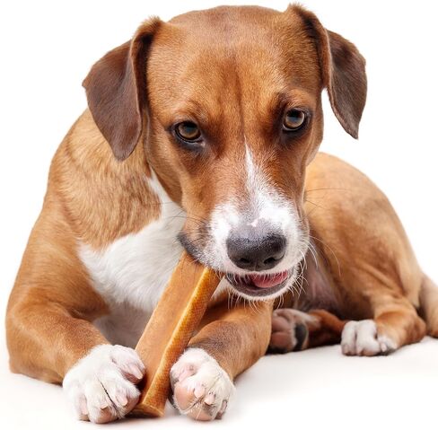 PIMA - Canine Cheese Chews, Natural Yak Chews for Dogs 55 lbs or Smaller, Lactose-Free Yak Cheese Chews, Himalayan Yak Cheese Dog Chew with Protein and Vitamin E, D and A, Large, 48-oz Bag in Saudi Arabia