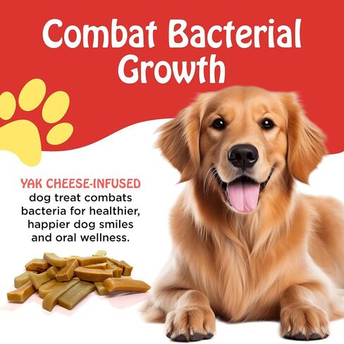 PIMA - Canine Cheese Chews, Natural Yak Chews for Dogs 55 lbs or Smaller, Lactose-Free Yak Cheese Chews, Himalayan Yak Cheese Dog Chew with Protein and Vitamin E, D and A, Large, 48-oz Bag in Saudi Arabia