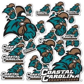 Desert Cactus Coastal Carolina University Chanticleers CCU Stickers Vinyl Decals Laptop Water Bottle Car Scrapbook T1 (Type 1-1)