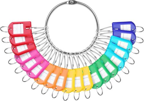 EEEKit Plastic Key Tag, Key Label with Ring Label Window Spring Hook, Key Chain Label Tag, ID Identifier Name Tag, 20PCS in Saudi Arabia