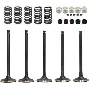 Intake Exhaust Valve Lifter Bucket Seal Spring Cotters Kit Compatible with Yamaha YZ450F 2006-2009