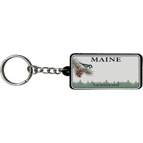 Beautiful & Unique Keychains - USA Souvenir, Collectible Design,Flexible Silicone, Keyring Lanyard Accessory
