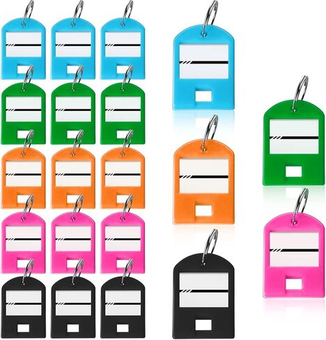 20 Pack Key Tags Plastic Key Labels Key Chain Tags with Ring and Label Window Sturdy Item Identifiers for Home, School, Office and More, 5 Colors in Kuwait