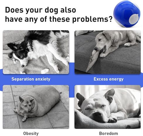 Interactive Dog Ball Toys, Automatic Moving Rotating Dog Ball, Funny Chaser Peppy Pet Wicked Ball for Small Medium Dogs, Indoor & Outdoor Interactive Active Rolling Ball Dog Toy-USB Rechargeable in Kuwait