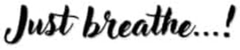 Just Breathe Mirror Decal, Different Fonts And Colors, Vinyl Car Decals For Men Women And Kids, Rearview Mirror Decal, Car Decal Gifts, Car Side Mirror And Window Decal (Classic, Pink) in Saudi Arabia