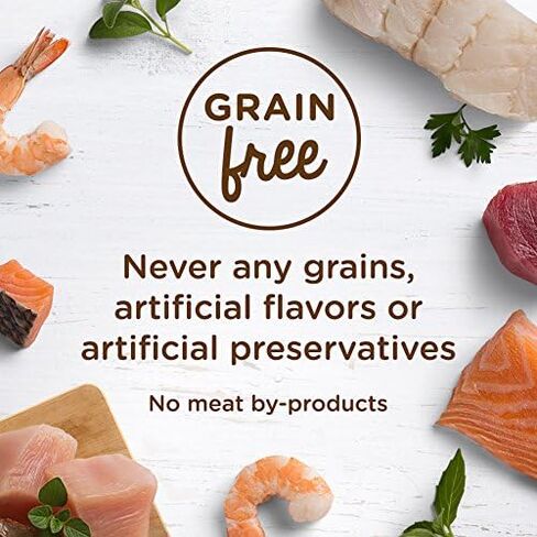 راشيل راي نوتريش طعام القطط الرطب الطبيعي، وصفة بوركاتا الدجاج، كوب 2.8 أونصة، خالي من الحبوب in Kuwait