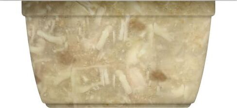 راشيل راي نوتريش طعام القطط الرطب الطبيعي، وصفة بوركاتا الدجاج، كوب 2.8 أونصة، خالي من الحبوب in Kuwait