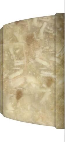 راشيل راي نوتريش طعام القطط الرطب الطبيعي، وصفة بوركاتا الدجاج، كوب 2.8 أونصة، خالي من الحبوب in Kuwait