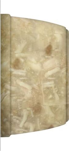 راشيل راي نوتريش طعام القطط الرطب الطبيعي، وصفة بوركاتا الدجاج، كوب 2.8 أونصة، خالي من الحبوب in Kuwait