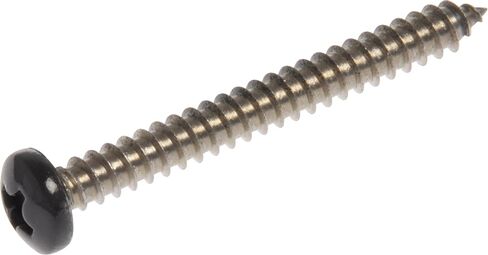 44373 10 x 1-Inch Black Pan Head Phillips Sheet Metal Screw, Stainless Steel, 12-Pack in Saudi Arabia