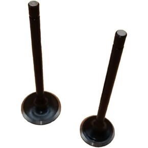 Intake & Exhaust Valve for Big Red ATC185 ATC185S ATC200 ATC200M ATC200S ATC200X 200 CB125S XL125S XL185S XL200R XR185 XR200 XR200R TRX200 14711-437-000 14721-437-000 1979-2002 23-189