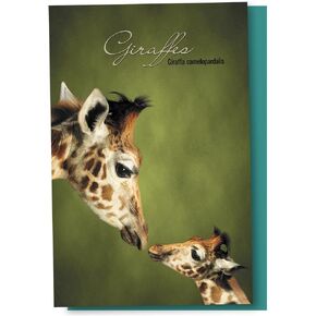Tree-Free Greetings EcoNotes 12 Count Parent and Child Giraffe All Occasion Notecard Set with Envelopes, 4 x 6 Inches (FS66812)