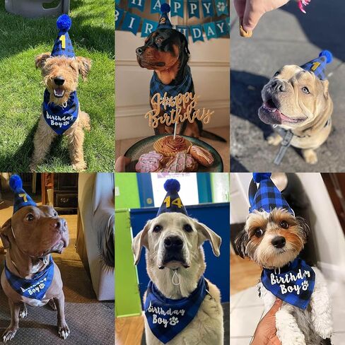 لوازم حفلات أعياد ميلاد الكلاب، باندانا منقوشة لعيد ميلاد الكلب مع قبعة أرقام عيد ميلاد الكلب، ربطة عنق للكلب، لعبة كعكة عيد ميلاد تصدر صوتًا للكلاب الصغيرة والمتوسطة والكبيرة والحيوانات الأليفة in Kuwait