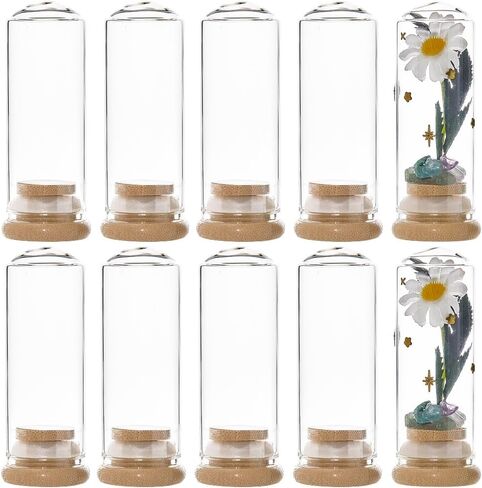 SUNNYCLUE 10Pcs Mini Cloche Glass Dome 30x80mm Mini Glass Seal Jars Small Glass Display Dome with Bamboo Base Glass Bottles Cloche Bell Jar for Flower Storage Home Christmas Party Favor Decor in Saudi Arabia