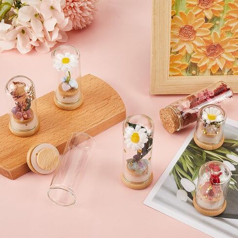 SUNNYCLUE 10Pcs Mini Cloche Glass Dome 30x80mm Mini Glass Seal Jars Small Glass Display Dome with Bamboo Base Glass Bottles Cloche Bell Jar for Flower Storage Home Christmas Party Favor Decor in Saudi Arabia
