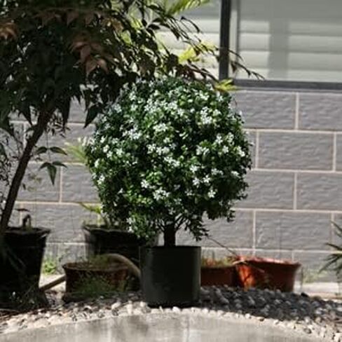 20" Artificial Five-Eared Flower Outdoor Artificial Shrub Sunlight Resistant Leafy Potted Plant Plant for Indoor Porch of Home and Office Artificial Outdoor Tree in Kuwait