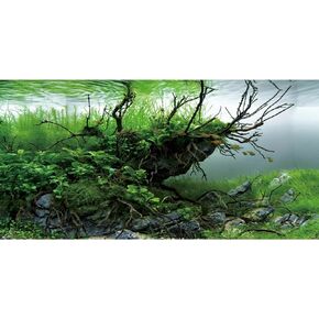 AWERT 24x12 inches Branches Fish Tank Background Seaweed Aquarium Background River Bed & Lake Aquarium Background Vinyl Background