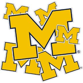 Desert Cactus University of Michigan Sticker Wolverines UM U of M Stickers Vinyl Decals Laptop Water Bottle Car Scrapbook T3 (Type 3-3)