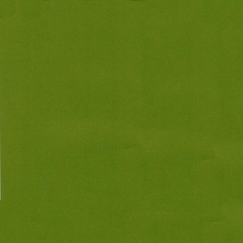 Clear Path Paper - Basil Green Cardstock - 12 x 12 inch - 65Lb Cover - 25 Sheets in Saudi Arabia