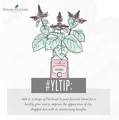Young Living Patchouli's Essential Oil 5 ml - Rich Aromatherapy with Young Living , Uplift Mind and Spirit , Natural Aroma of Tranquility , Elevate Your Senses , Promotes Feelings of Calm and Peace in Saudi Arabia