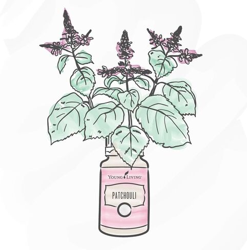 Young Living Patchouli's Essential Oil 5 ml - Rich Aromatherapy with Young Living , Uplift Mind and Spirit , Natural Aroma of Tranquility , Elevate Your Senses , Promotes Feelings of Calm and Peace in Saudi Arabia
