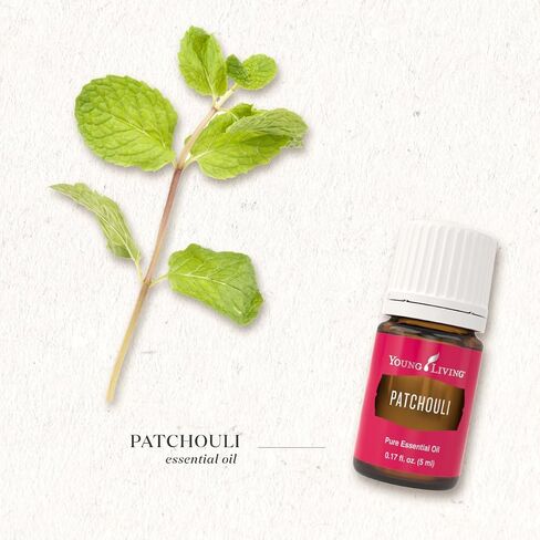 Young Living Patchouli's Essential Oil 5 ml - Rich Aromatherapy with Young Living , Uplift Mind and Spirit , Natural Aroma of Tranquility , Elevate Your Senses , Promotes Feelings of Calm and Peace in Saudi Arabia