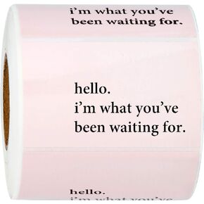 WRAPAHOLIC Hello I'm What You've Been Waiting for Stickers - Pink Business Thank You Stickers, Shipping Stickers - 2 x 3.2 Inch 350 Total Labels