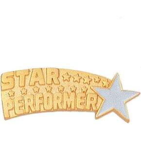 Star Performer Pins for Students Appreciation Reward School Teacher Supplies Employee Recognition
