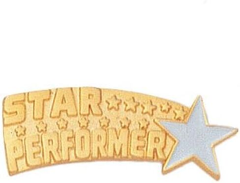 Star Performer Pins for Students Appreciation Reward School Teacher Supplies Employee Recognition in Saudi Arabia