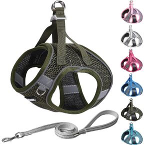 AIITLE Step in Dog Harness and Leash Set for Walking - Adjustable Dog Harness with Padded Vest for All Weather, Reflective Adjustable Pet Harness, Easy to Put on Small Dogs Turquoise S