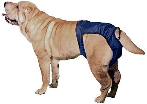 Integrated Pet Solutions SnuggEase Washable Dog Diaper, XX-Small in Saudi Arabia