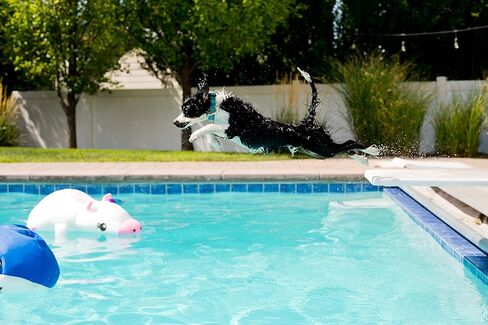 Posh Creations Unicorn Pool Noodles and Floats مع EPS للأطفال، متعة غير قابلة للنفخ للقفز والاسترخاء وركوب الخيل في حمام السباحة للأطفال المراهقين والبالغين، عوامة شبكية لحوض السباحة - وحيد القرن كبير in Kuwait