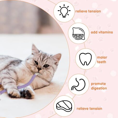 Rope Cat Toys, 6 Pack Catnip Toy Bite Rope, Cotton Rope Cat Toys for Indoor Cats, Interactive Cat Rope Toys with Silvervine Fruit for Cats and Kittens, Interactive Cat Nip Kitty Toys 27" All Breeds in Saudi Arabia