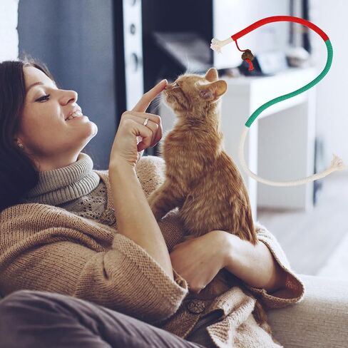 Rope Cat Toys, 6 Pack Catnip Toy Bite Rope, Cotton Rope Cat Toys for Indoor Cats, Interactive Cat Rope Toys with Silvervine Fruit for Cats and Kittens, Interactive Cat Nip Kitty Toys 27" All Breeds in Saudi Arabia