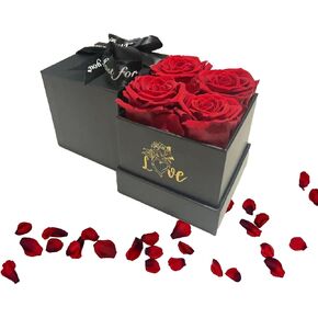 Forever Preserved Flowers in Gift Box,Preserved Roses Real Eternal Rose Flower That Lasts for Years for Her Delivery, Sister, Mother and Grandma, Flowers Gifts for Women (red)